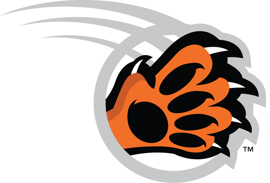 RIT Tigers 2004-Pres Alternate Logo 01 iron on paper